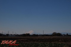 富士山