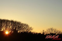 男と女の間には・・・・