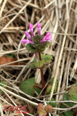 明日から仕事だ～♪