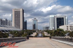 2013年ドキドキフリーマーケット