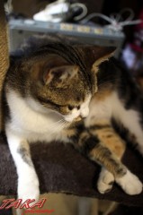 良く寝た～～♪