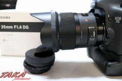 シグマ35mmf1.4