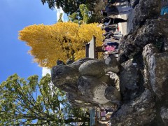 【お題日記】なんか変なこと考えてない？