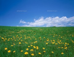 【お題日記】好きな匂いの場所