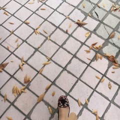 【お題日記】普段よく利用してる移動手段は？