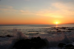 明けましておめでとうございます