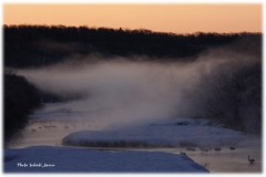 丹頂鶴の夜明け