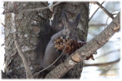 はっ、みつかった！