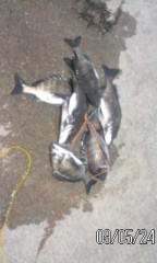 健全な　お遊び