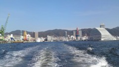 春本番　出会いわ