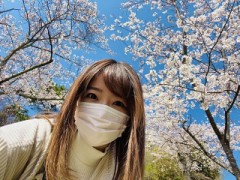 【お題日記】最近街中で見ないなーと思うもの