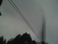 スキージャム勝山へ