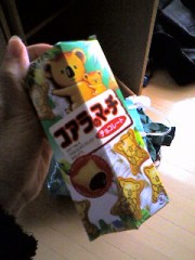 おはよーございます☆