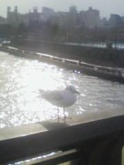 云いたいことはわかんだけどさ・・・