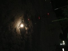 今日はおやすみ