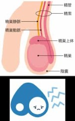 タマが左の玉がぁ！