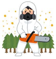 花粉症の季節ですね。。。杉がにくい