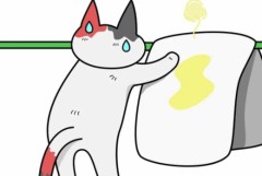 【お題日記】H中に粗相しちゃったことある？