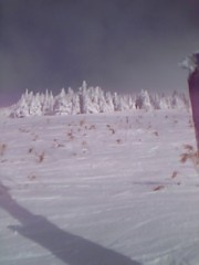 スキーしてきた