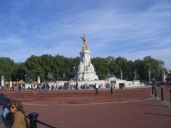 風邪の時はひま