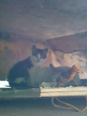 台風のため避難？！