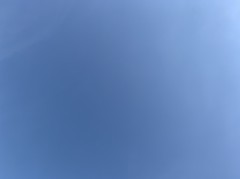 【お題日記】何か蚊に刺されないようにしてる？