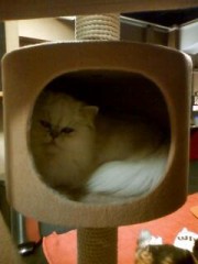 母と夜の歌舞伎町へ