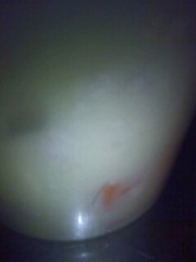 おっべんっと♪おっべんっと♪