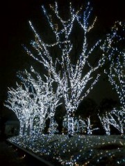 こなぁああああゆきいぃぃぃねぇ