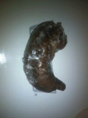 ドーナツのようなもの。