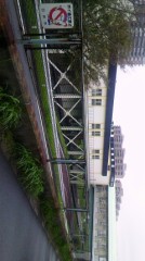 まずは14日の写メ