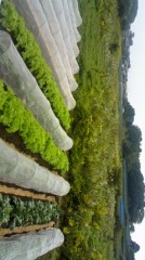 白井駅から徒歩3km