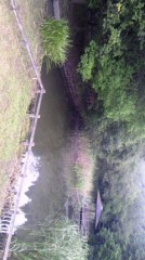 自然との～んびり。