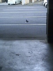 【お題日記】今欲しい物☆