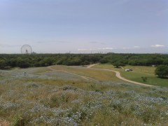 【お題日記】ホストやキャバ嬢に貢いだことある？