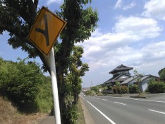 【お題日記】虫は好き？嫌い？