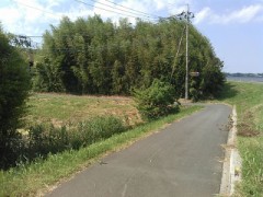 手抜き裏ログ(前編)