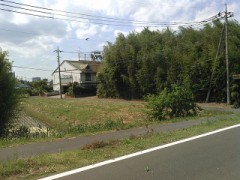 手抜き裏ログ(後編)