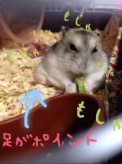 【お題日記】あなたの、お年玉の思い出