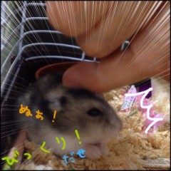 【お題日記】経験が豊富な人・浅い人、どっちがいい？