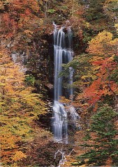 【お題日記】今修学旅行に行くならどこに行きたい？