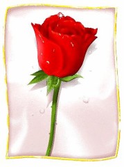 【お題日記】今注目してる物事