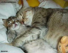 【お題日記】あなたの運命的な出来事は？