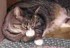 【お題日記】燃えるエッチってどんなエッチ？