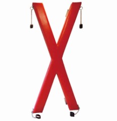 【お題日記】興奮するポースは？