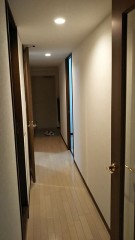 お引っ越ししました！