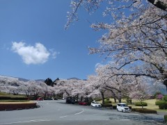 【お題日記】大声では聞けないこと