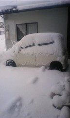 大晦日ですね。