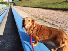 今日も雪ですね。