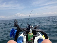 カヤック行って来ました